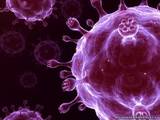 Американские ученые открыли новый смертельный вирус гриппа