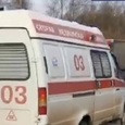 Омбудсмен рассказала о состоянии ребенка, пострадавшего от действий неадеквата в Шереметьево