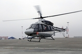 В Тамбовской области разбился вертолёт