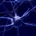 Ученые: потенциал мозга человека сопоставим с работой миллиардов мини-компьютеров