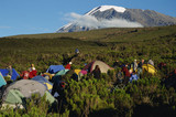 Нашествие туристов угрожает Килиманджаро