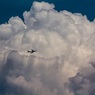Минтранс предложил снизить требования к качеству авиакеросина