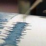 В Чили произошло мощное землетрясение магнитудой 6,6