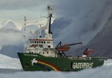 Экипаж «Арктик Санрайз» дождался амнистии: гринписовцев выпускают