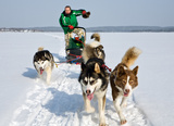 Экспедиция на собачьих упряжках стартует в Костроме