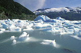 Озеро на Аляске «почирикало» с туристами (ВИДЕО)