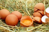 Правительство РФ одобрило обнуление пошлин на импорт яиц