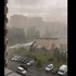 Два человека погибли и шесть пострадали в результате урагана в Петербурге и Ленобласти