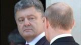 Путин обсудил с Порошенко пути выхода из кризиса на Донбассе