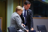 Вслед за Меркель в конфуз с рукопожатием на фоне коронавируса попал премьер Нидерландов