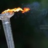 Садовничий, Жуков и Онищенко пронесут огонь Олимпиады в Москве