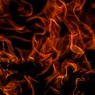 Восемь человек погибли при пожаре в бытовках в Подмосковье