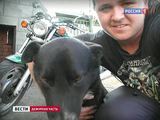 Избивший Юрия Антонова байкер оштрафован за новую драку