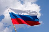 В России запрещен импорт товаров для нужд обороны и безопасности страны
