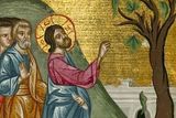 Великий понедельник: патриарх Иосиф и смоковница