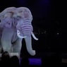 Немецкий цирк первым в мире заменил дрессированных животных голограммами