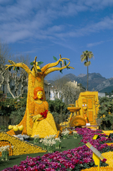 На французскком курорте пройдет  фестиваль лимонов