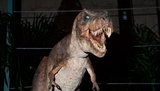 В Америке найден беременный тираннозавр