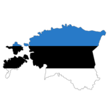 Эстонские выборщики не сумели выбрать главу государства в первом туре голосования
