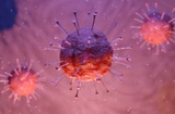В Китае назвали новый очаг коронавируса в организме человека