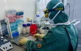 Вирусолог назвал главные отличия осенней и весенней вспышек COVID-19 в России