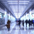 В правительстве не поддержали проект о штрафах чиновникам за оскорбление граждан