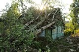 Ущерб от урагана в Башкирии может составить 200 млн руб