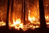 На греческом острове началась эвакуация жителей из-за сильного лесного пожара