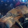 Националисты Украины выместили гнев на памятнике вождю