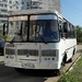 Производитель автобусов ПАЗ остановил работу