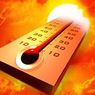 Минувшее лето стало самым жарким на планете за последние 125 лет