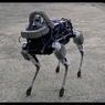 Чем закончился конфликт пса с собакой-роботом (ВИДЕО)