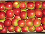 Россияне пожаловались президенту на замаскированные польские яблоки