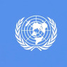 Палестина представила резолюцию СБ ООН о создании государства