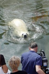 150-летний Московский зоопарк увидят обновленным на День города
