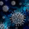 Гинцбург заявил о наличии антител против "омикрона" у 100% ревакцинированных "Спутником Лайт"