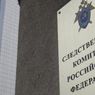 Источники: Глава СКР поручил выяснить, почему следователь Шишкина не получила защиту