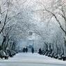 Московская зима может войти в десятку самых теплых за историю метеобюро