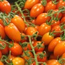 «Русагро» готово заменить турецкие помидоры тепличными
