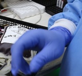 ВОЗ выступила против переливания плазмы крови переболевших пациентам с коронавирусом