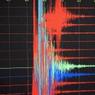 Подверждена гибель 13 человек при землетрясении в Чили