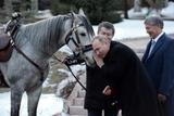 Президент Киргизии подарил Владимиру Путину арабского скакуна