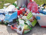 В Челябинске введён режим ЧС из-за мусорного коллапса
