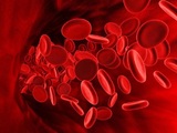 Ученые выявили неуязвимую для онкозаболеваний группу крови