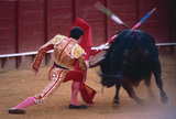 Испания: В обновленном музее корриды иной взгляд на быков