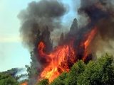 Пучков назвал ответственных за бушующие в Сибири пожары