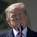 Трамп предложил сменить главу управления авиации США на фоне крушения Boeing 737 MAX