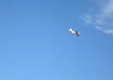 В Красноярском крае разбился самолет Ан-2