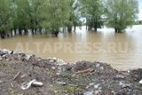 В Барнауле уровень воды превысил критический на 1,5 метра