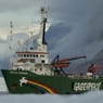 Экипаж «Арктик Санрайз» дождался амнистии: гринписовцев выпускают
